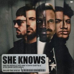 She Knows - Dimitri Vegas & Like Mike, David Guetta, Afro Bros, Akon