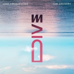 Dive - Lost Frequencies & Tom Gregory