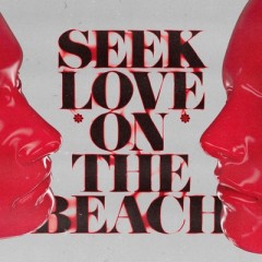 Seek Love (On The Beach) - Alok, Tazi, Samuele Sartini feat. Amanda Wilson & York